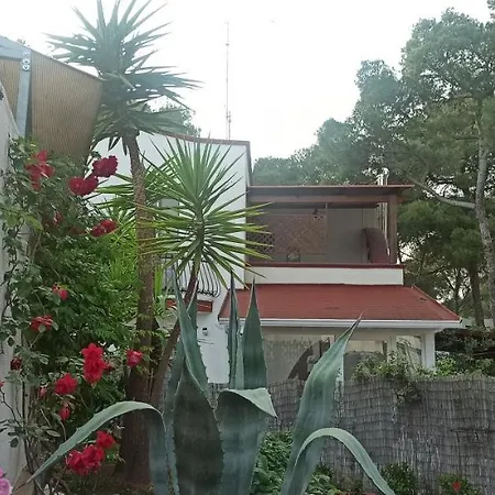 Zond - A Pochi Passi Dal Mare Bandiera Blu Feriehus